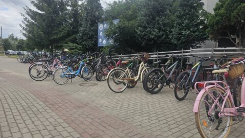 rowerowa trojka