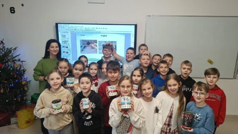 mali pomocnicy zwierząt