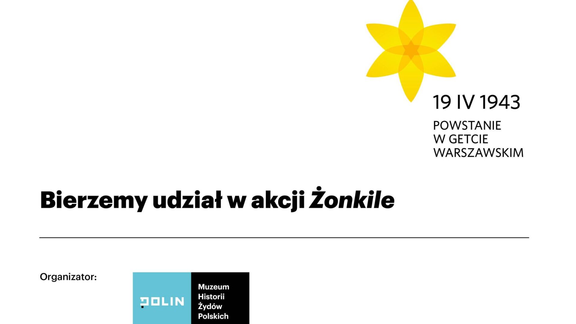 akcja żonkile