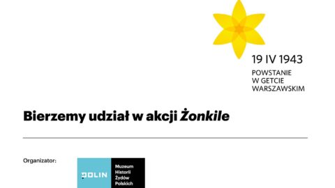 akcja żonkile